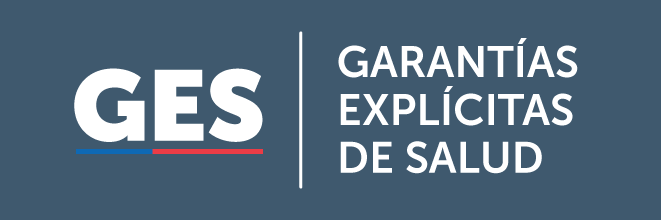 Informacion oficial GES